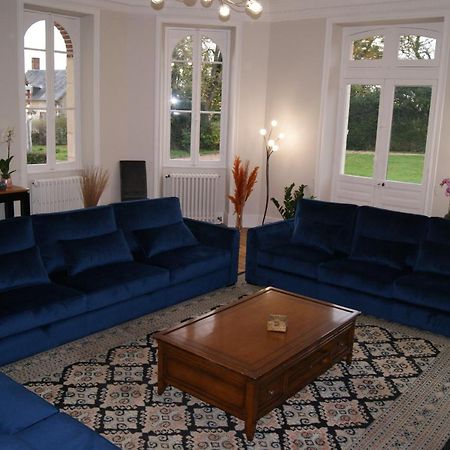 Le Chateau De La Brosse Chambres D'Hotes Brinay  ภายนอก รูปภาพ