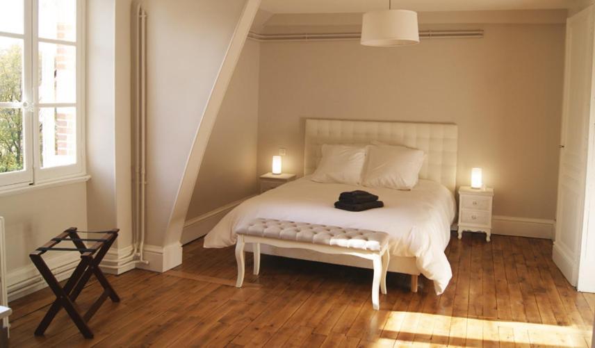 Le Chateau De La Brosse Chambres D'Hotes Brinay  ภายนอก รูปภาพ