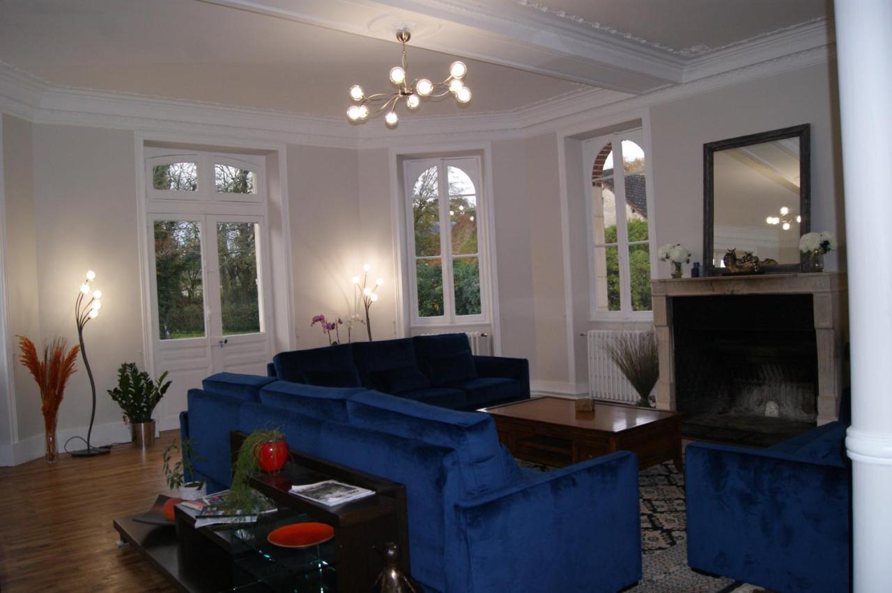 Le Chateau De La Brosse Chambres D'Hotes Brinay  ภายนอก รูปภาพ