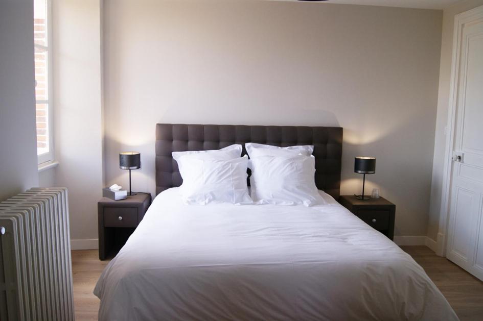Le Chateau De La Brosse Chambres D'Hotes Brinay  ภายนอก รูปภาพ